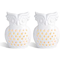 ComSaf Búho Quemadores de Aceite con Cuchara de Vela Conjunto Blanco- Cera de Porcelana Candelita Derrite Quemadores…